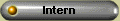 Intern